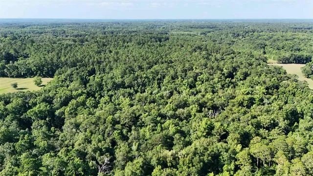 $150,000 | 576 Cox Road, Monticello, FL 32344