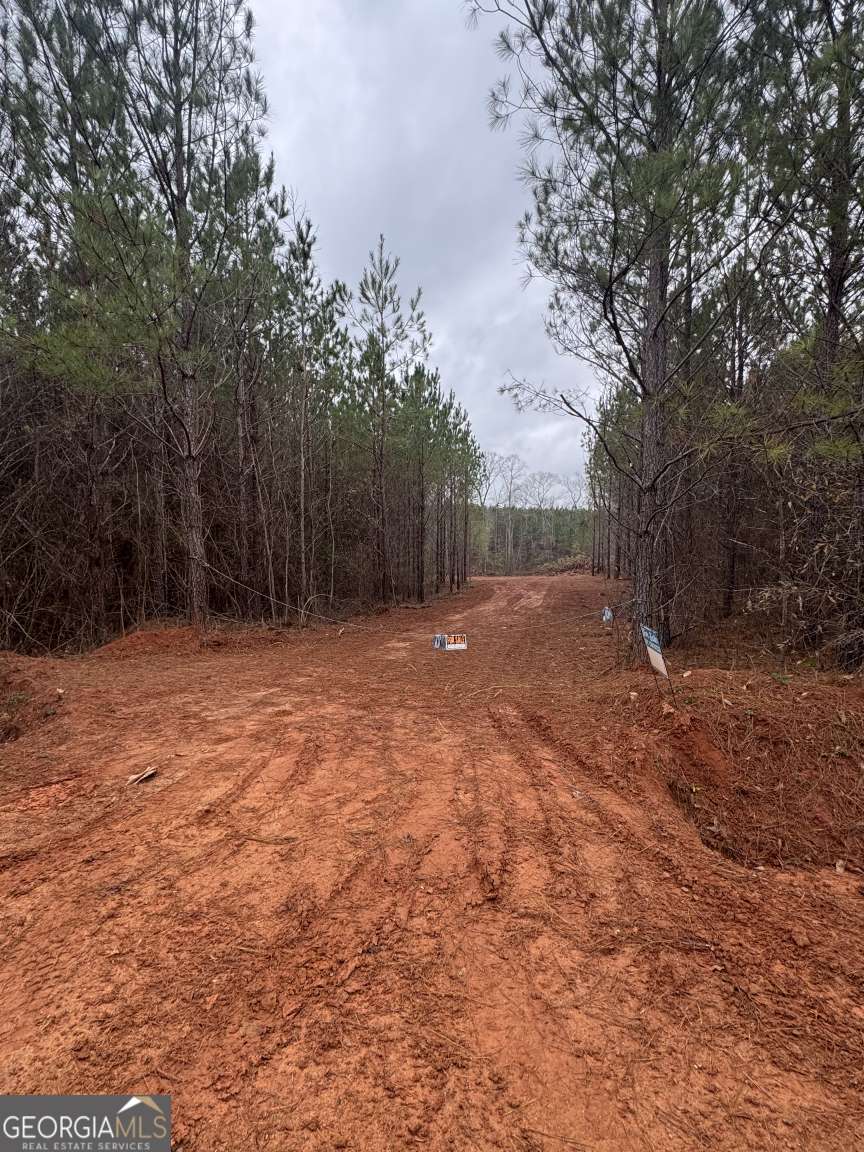 1455 Bethel Church Road Luthersville, GA 30251 - Photo 2 of 3 a backyard of a house with lots of green space
