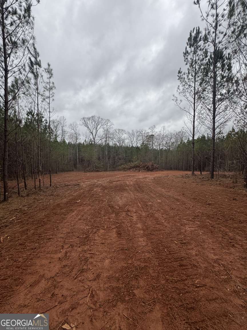 1455 Bethel Church Road Luthersville, GA 30251 - Photo 3 of 3 a view of outdoor space with green field and trees