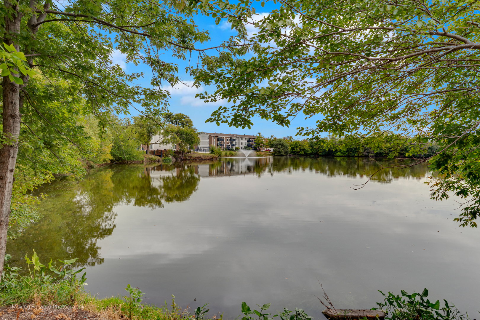 1701 Lakecliffe Drive, Unit D Wheaton, IL 60189 - Photo 31 of 35