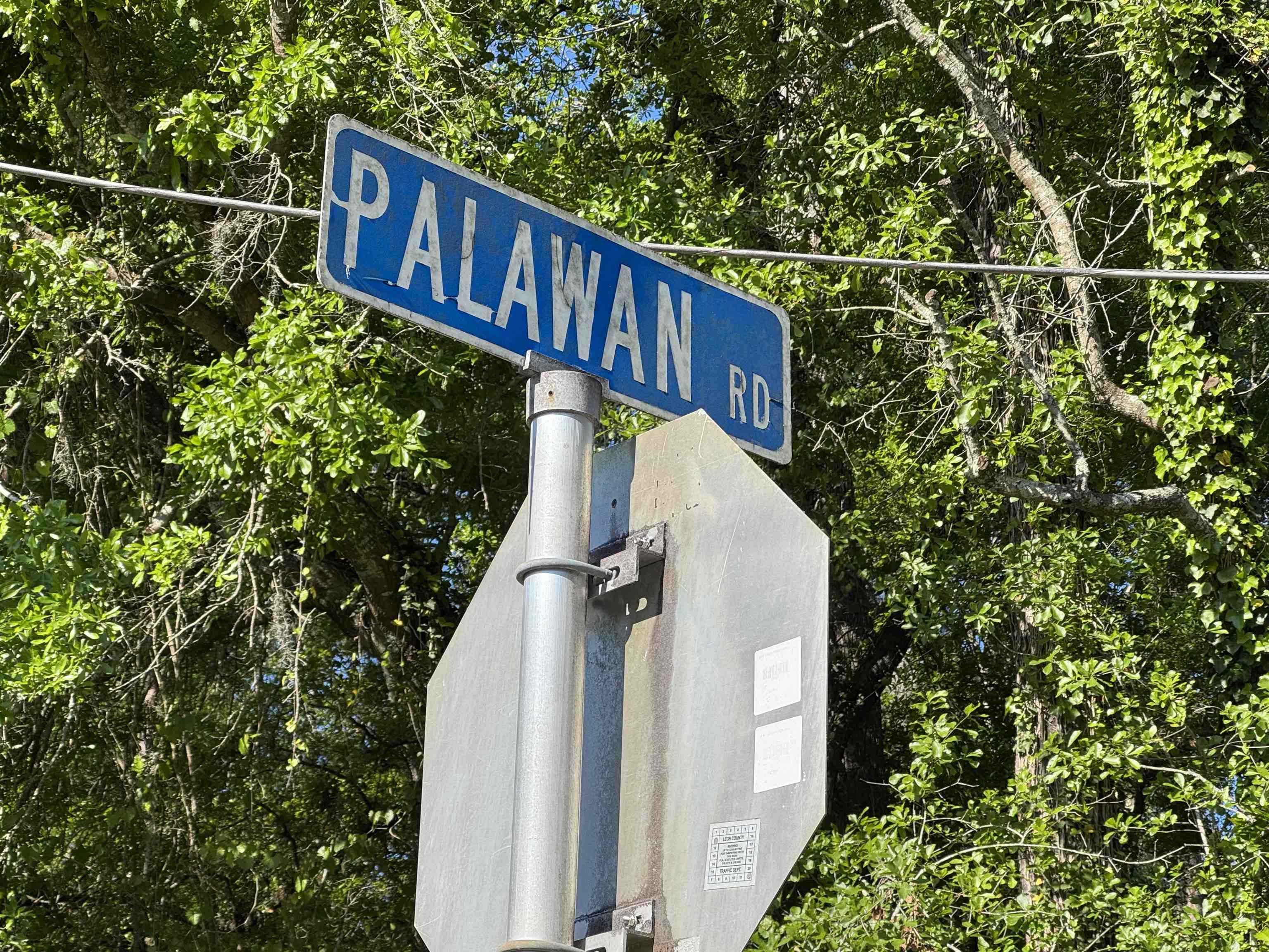 Palawan Road Tallahassee, FL 32305 - Photo 12 of 14