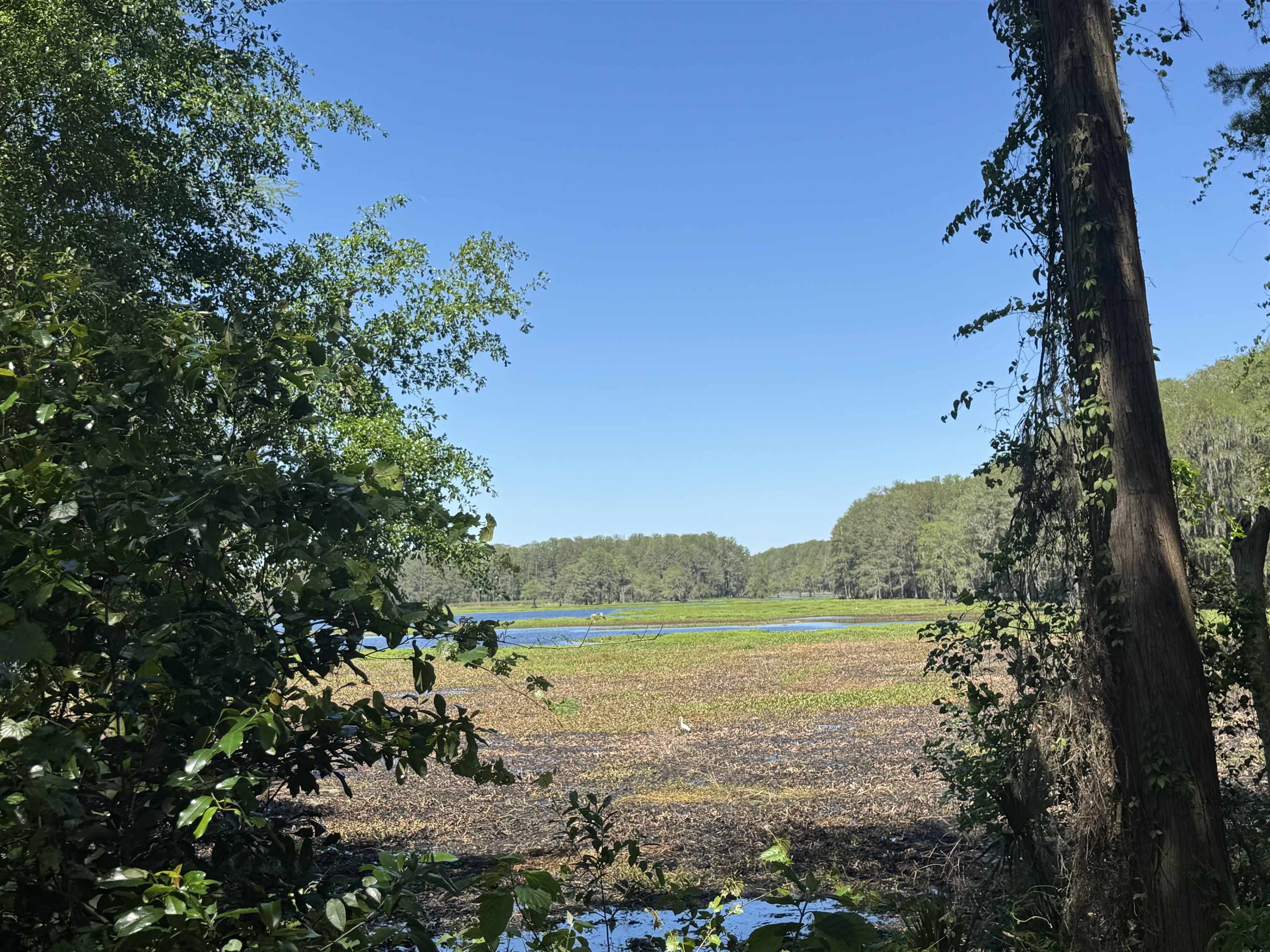 Palawan Road Tallahassee, FL 32305 - Photo 4 of 14