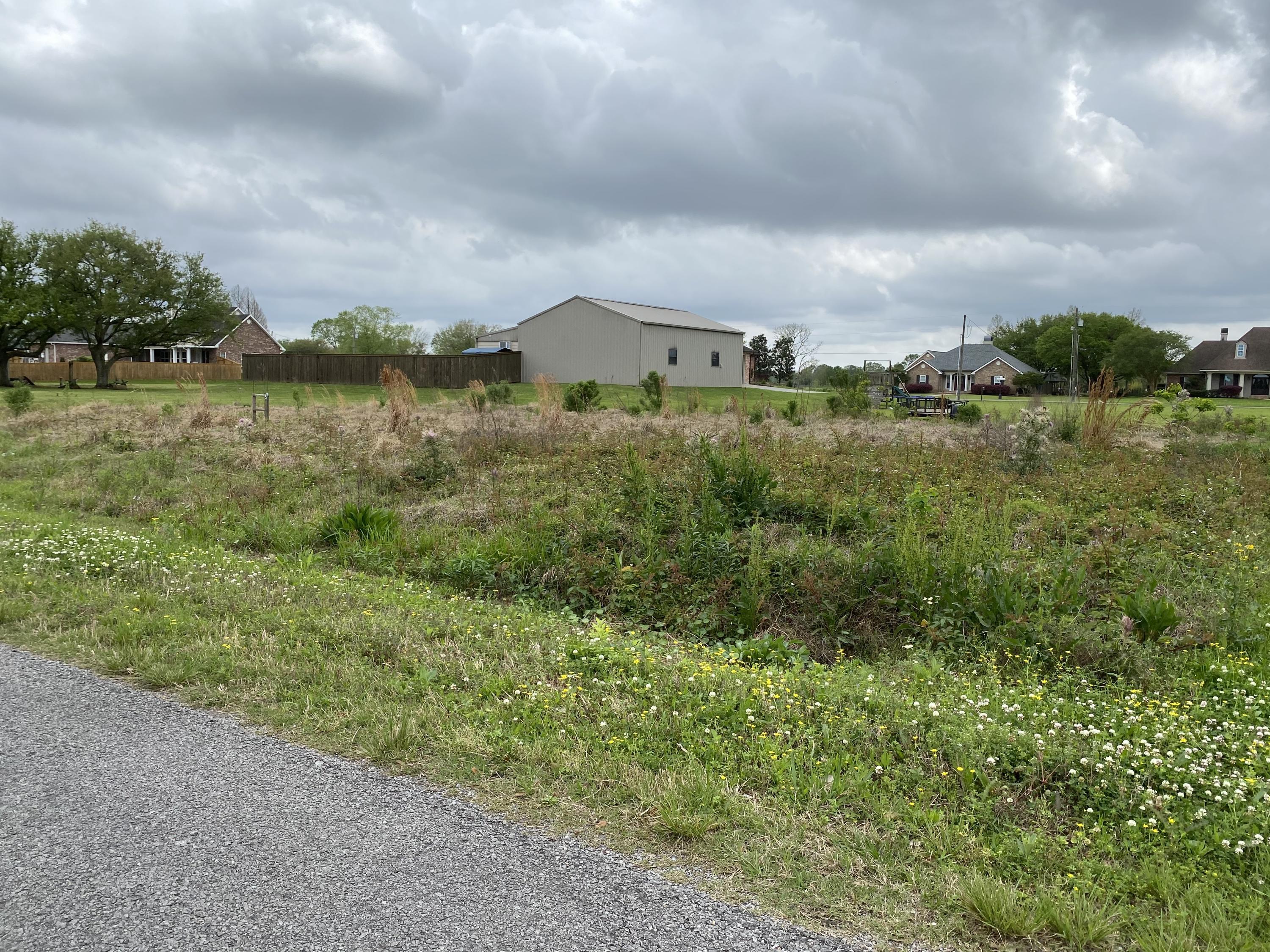 Broadview Road Erath, LA 70533 - Photo 2 of 2 Gallery Image 2