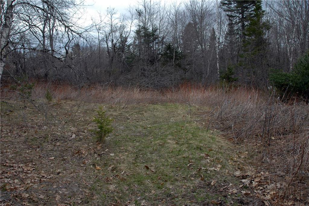 0 Cedar Swamp Road Orland, ME 04472 - Photo 2 of 24 Photo