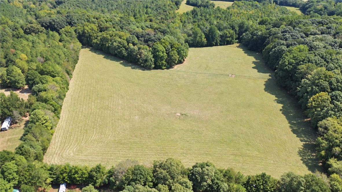 2420 Rainey Road Starr, SC 29684 - Photo 34 of 36 Lush green pastureland unfolds bordered by dense mature forest lines under open skies.