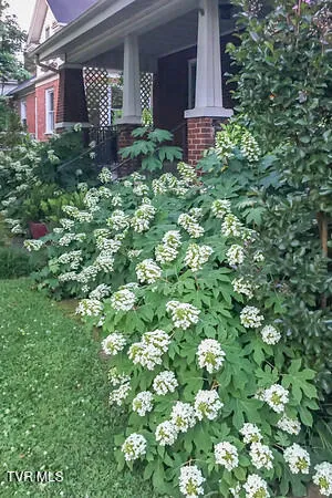$630,000 | 604 West Maple Street, Johnson City, TN 37604