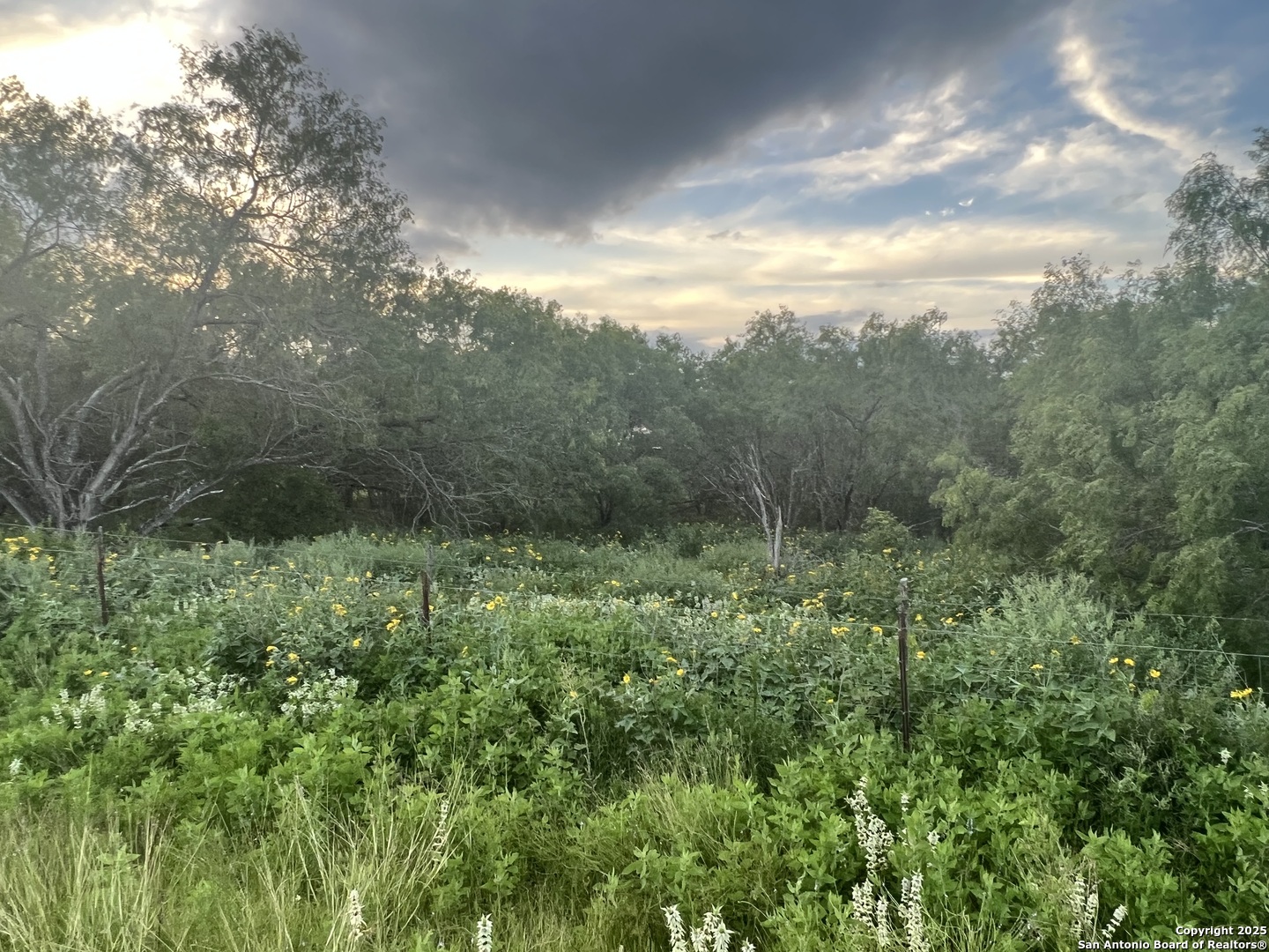 10477 Briggs Road Atascosa, TX 78002 - Photo 3 of 6