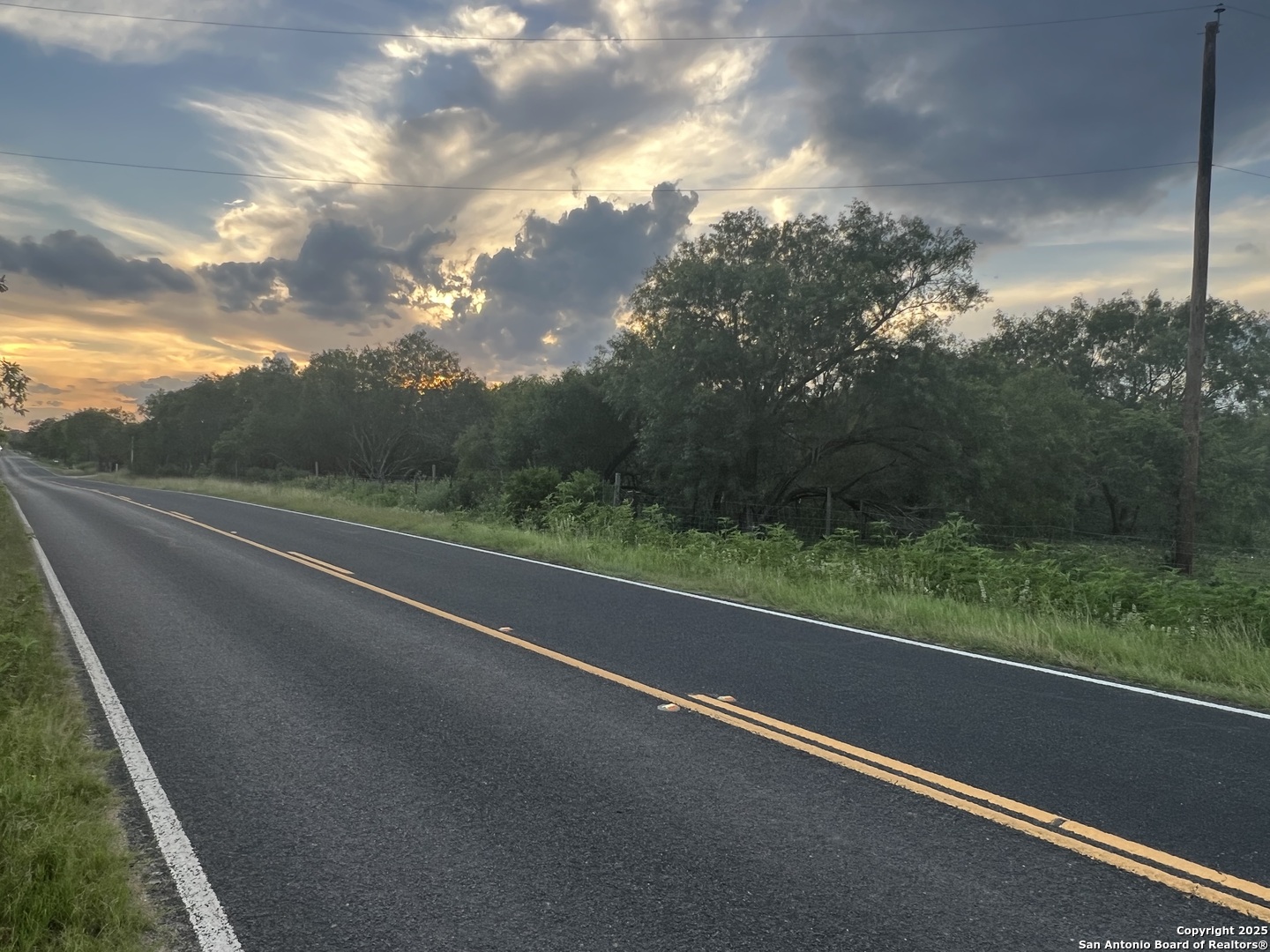 10477 Briggs Road Atascosa, TX 78002 - Photo 4 of 6