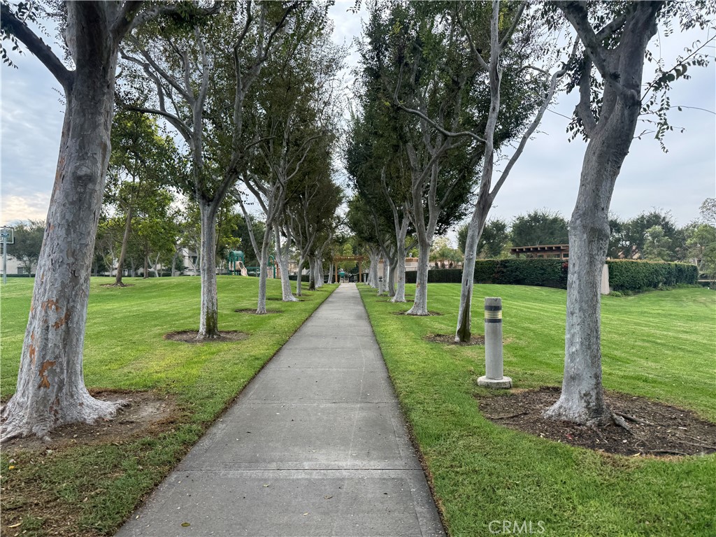 6 Columbia, Unit 2 Irvine, CA 92612 - Photo 24 of 25 a view of a park with tree s