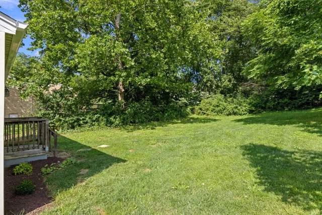 a view of yard with grass and trees