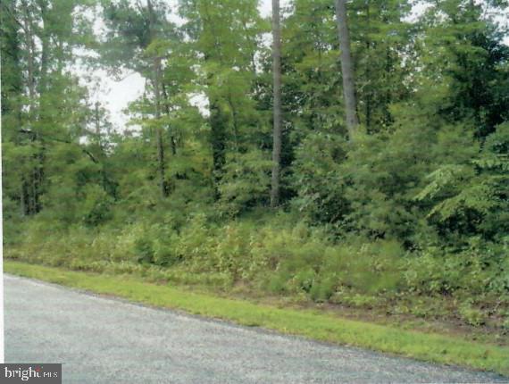 Colinbrook Way Lancaster, VA 22503 - Photo 1 of 3 a view of a yard with a trees