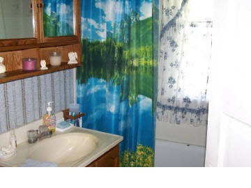 239 Fair Flora, IL 62839 - Photo 5 of 9 Gallery Image 5