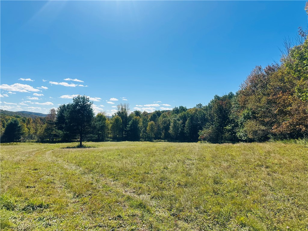 Gallop Hill Road Walton, NY 13856 - Photo 11 of 25