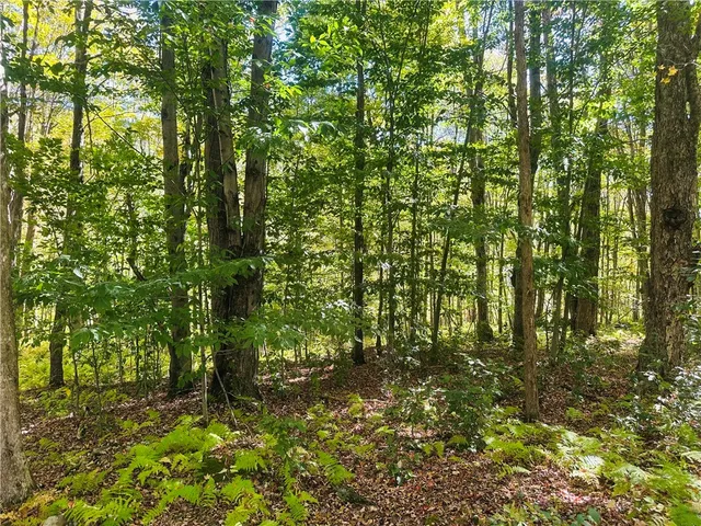 $199,000 | Gallop Hill Road, Walton, NY 13856