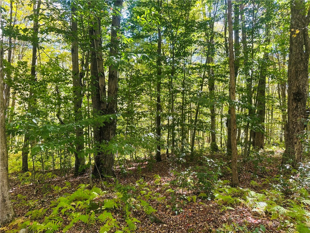 Gallop Hill Road Walton, NY 13856 - Photo 16 of 25