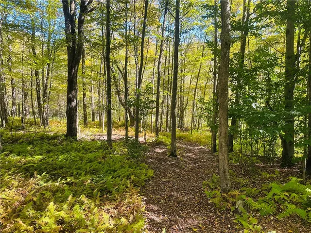 $199,000 | Gallop Hill Road, Walton, NY 13856