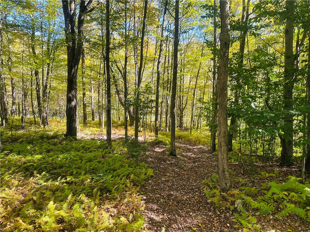 Gallop Hill Road Walton, NY 13856 - Photo 17 of 25