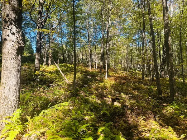 $199,000 | Gallop Hill Road, Walton, NY 13856