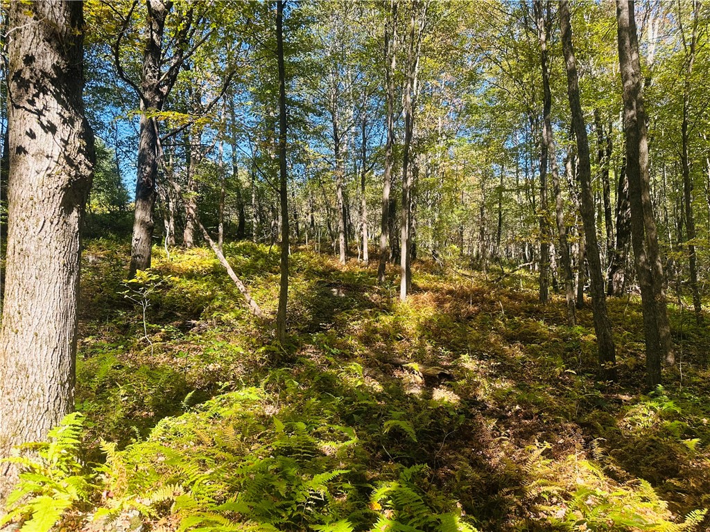 Gallop Hill Road Walton, NY 13856 - Photo 18 of 25