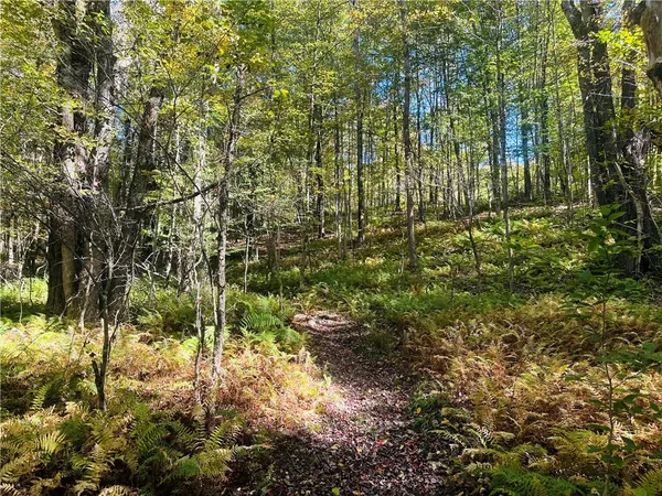 $199,000 | Gallop Hill Road, Walton, NY 13856