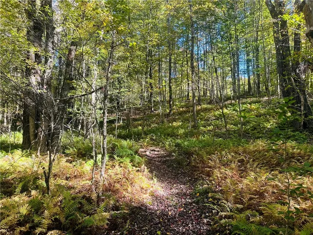 $199,000 | Gallop Hill Road, Walton, NY 13856