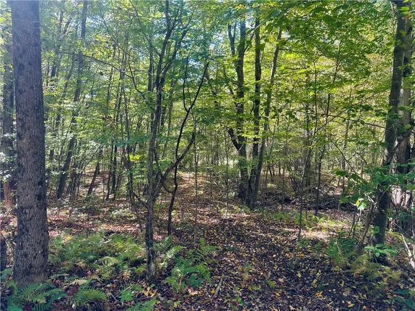 $199,000 | Gallop Hill Road, Walton, NY 13856