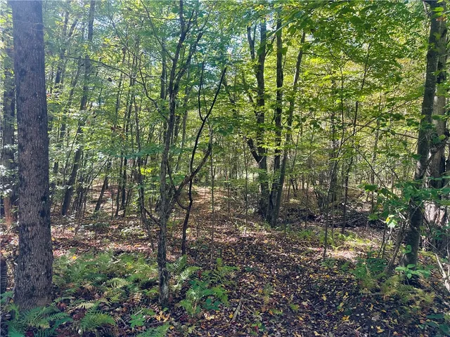 $199,000 | Gallop Hill Road, Walton, NY 13856