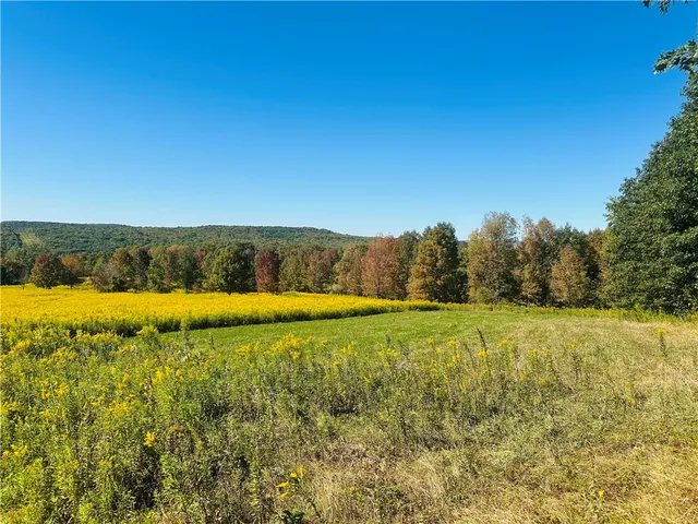 $199,000 | Gallop Hill Road, Walton, NY 13856