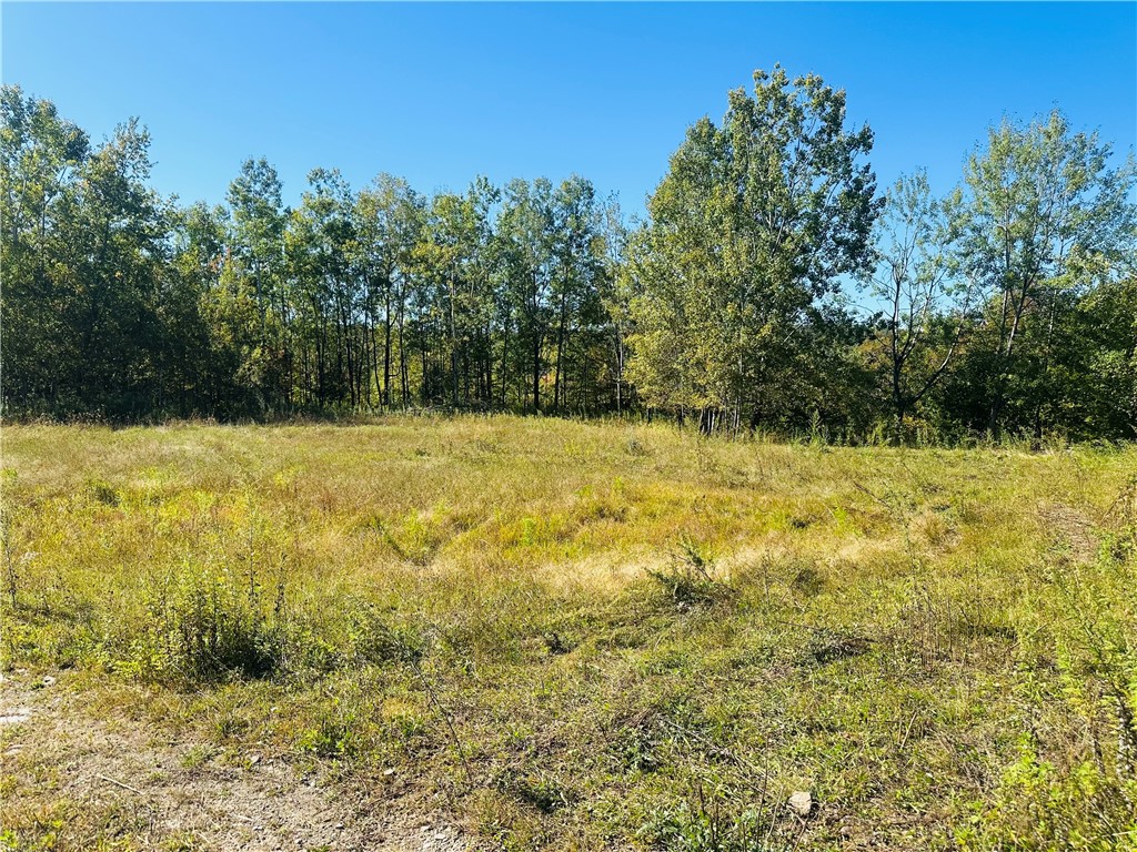 Gallop Hill Road Walton, NY 13856 - Photo 21 of 25