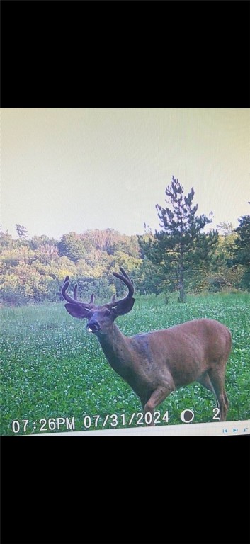 Gallop Hill Road Walton, NY 13856 - Photo 23 of 25