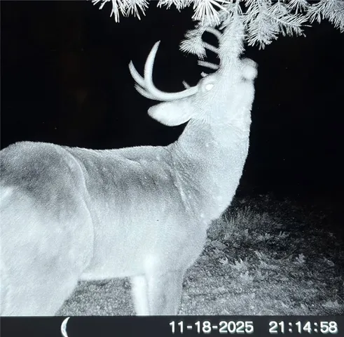 $199,000 | Gallop Hill Road, Walton, NY 13856