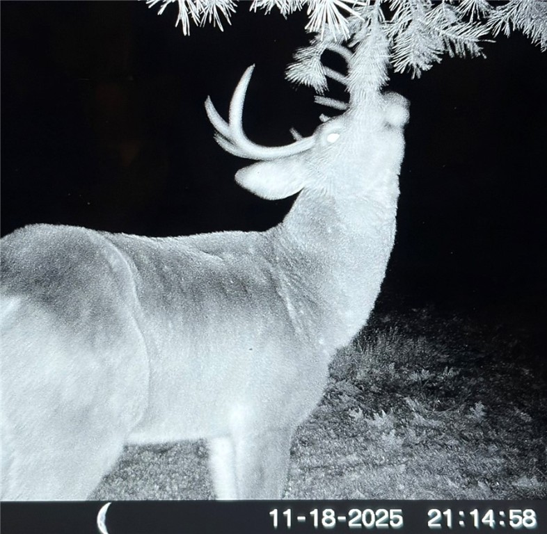 Gallop Hill Road Walton, NY 13856 - Photo 24 of 25