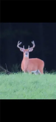 $199,000 | Gallop Hill Road, Walton, NY 13856