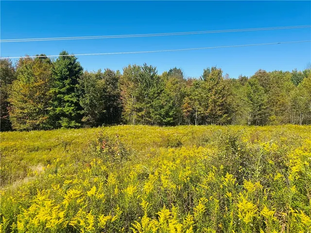 $199,000 | Gallop Hill Road, Walton, NY 13856