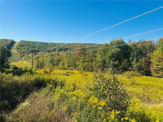 $199,000 | Gallop Hill Road, Walton, NY 13856