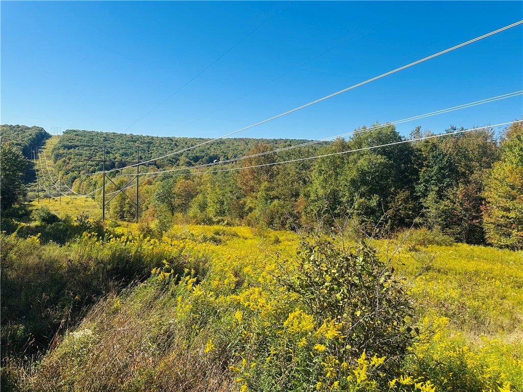 Gallop Hill Road Walton, NY 13856 - Photo 5 of 25