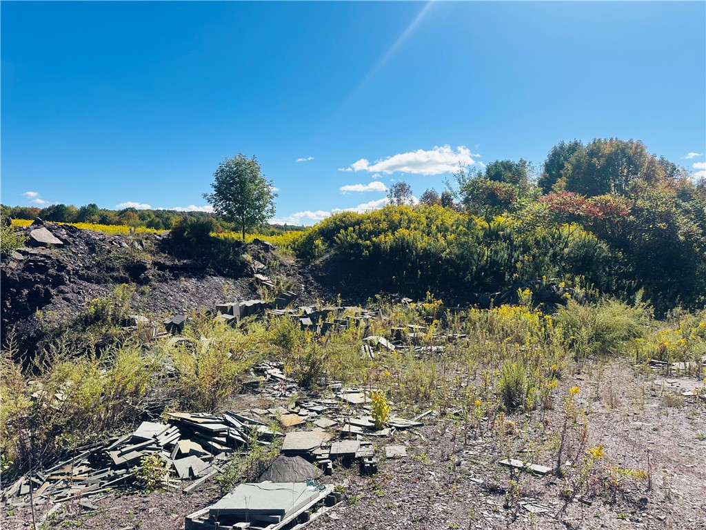 Gallop Hill Road Walton, NY 13856 - Photo 9 of 25