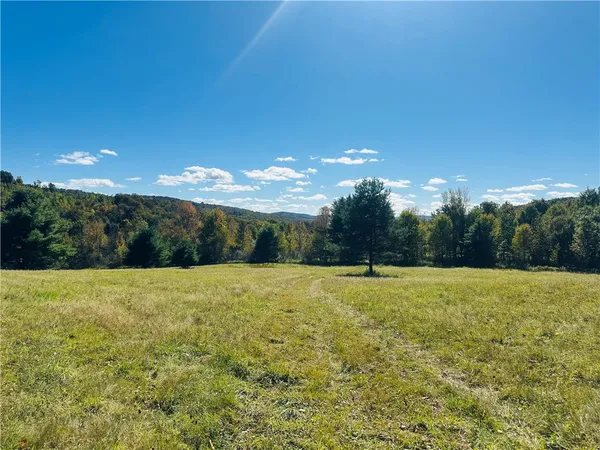 $199,000 | Gallop Hill Road, Walton, NY 13856