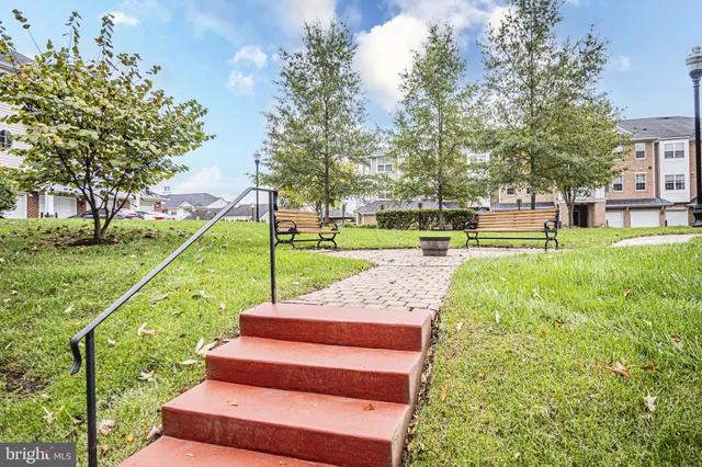 a view of a park with large trees