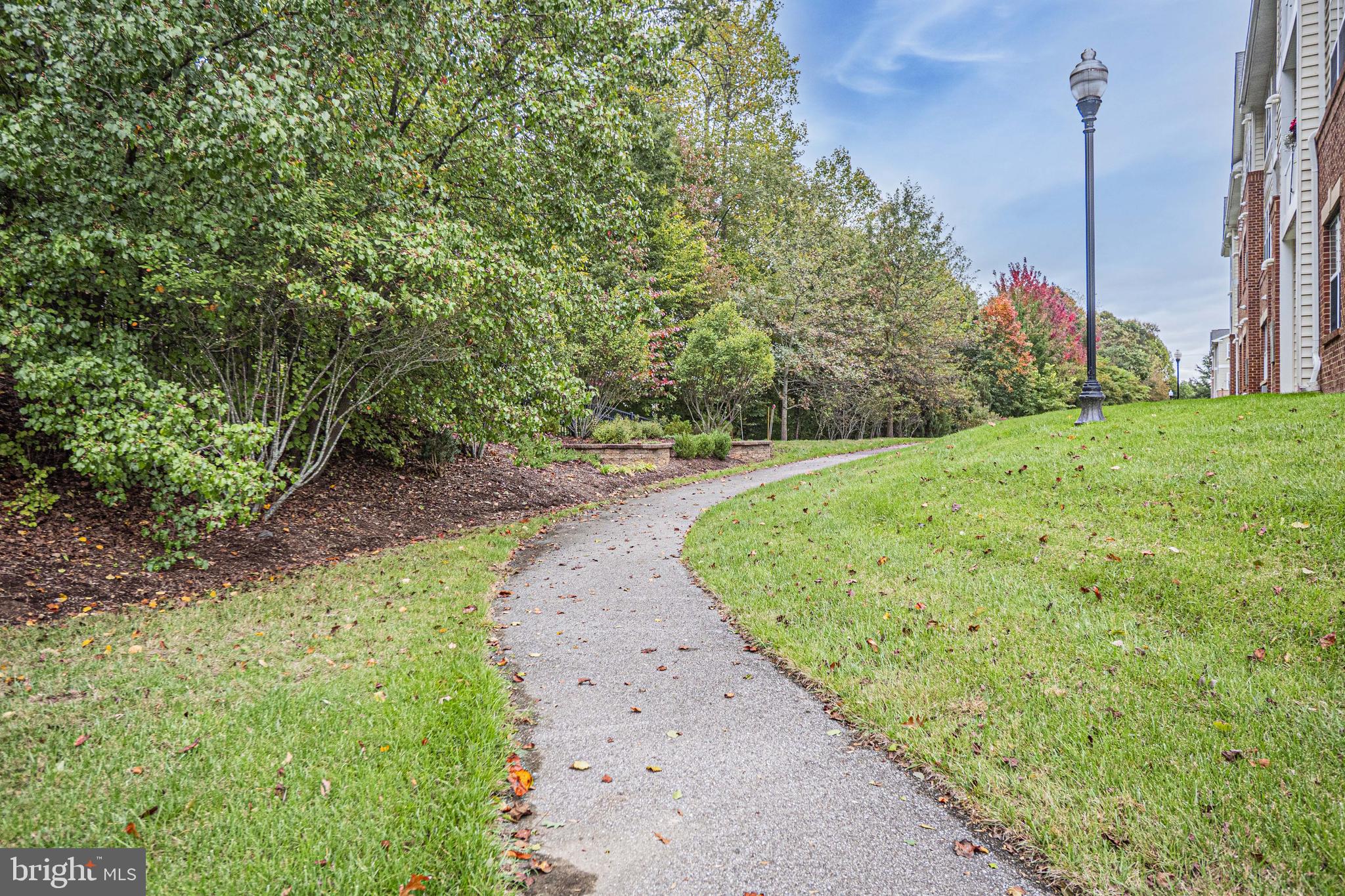 1405 Wigeon Way, Unit 206 Gambrills, MD 21054 - Photo 29 of 29 a view of a garden with a tree