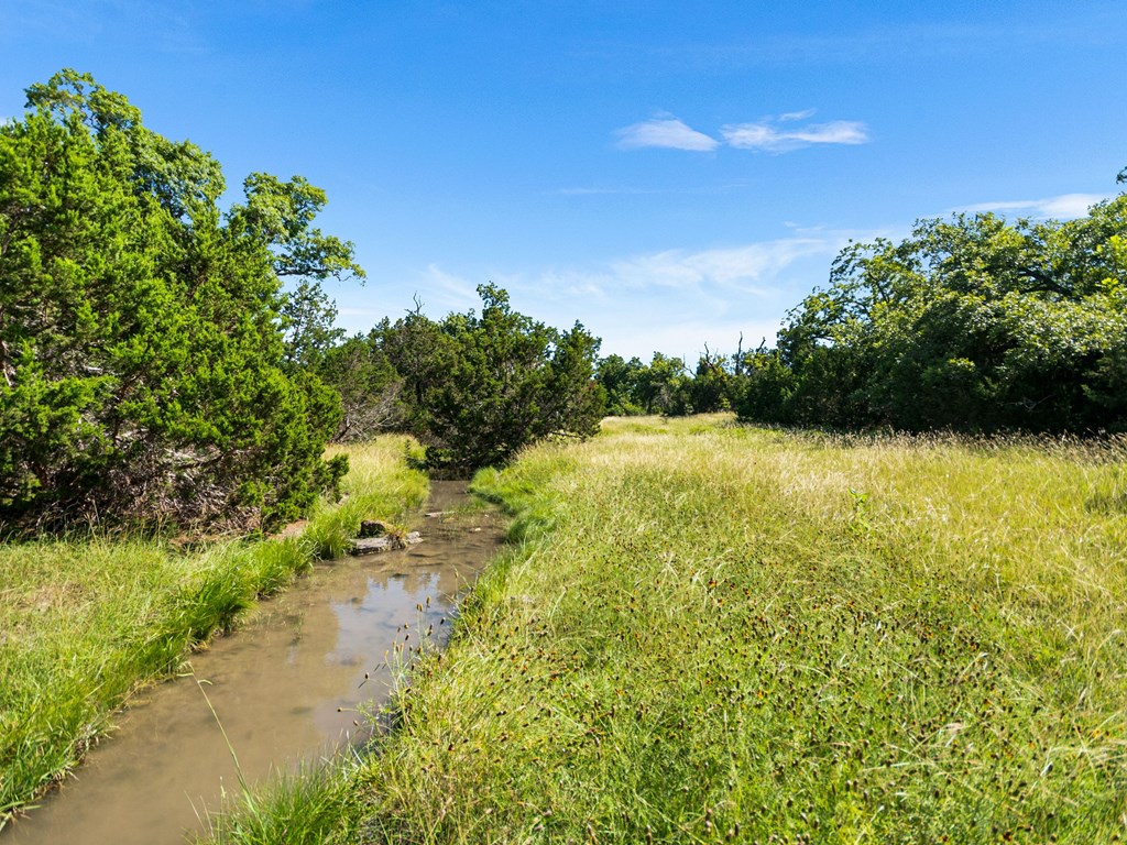 4369 Reeh-Weinheimer Road Fredericksburg, TX 78624 - Photo 11 of 33