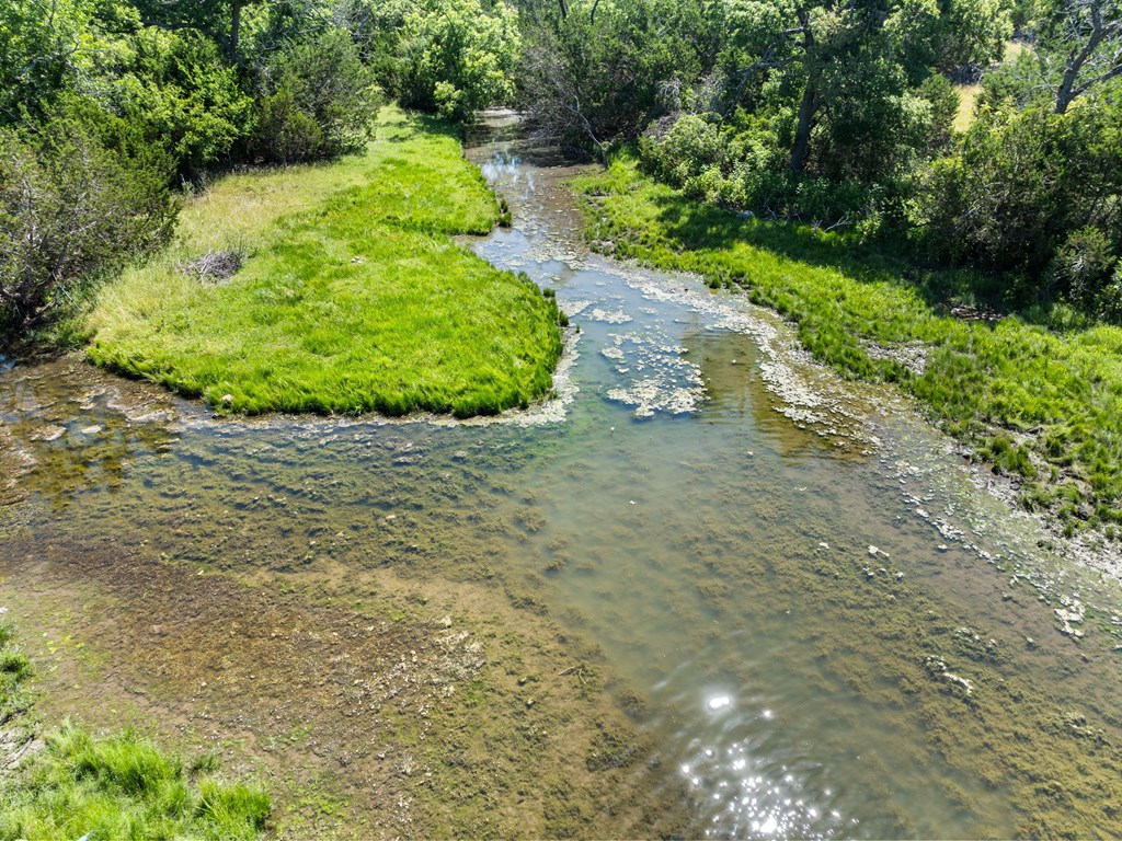 4369 Reeh-Weinheimer Road Fredericksburg, TX 78624 - Photo 13 of 33
