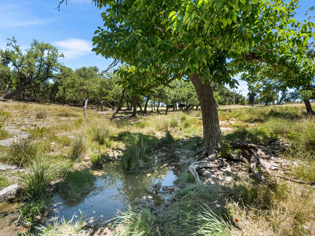 4369 Reeh-Weinheimer Road Fredericksburg, TX 78624 - Photo 14 of 33