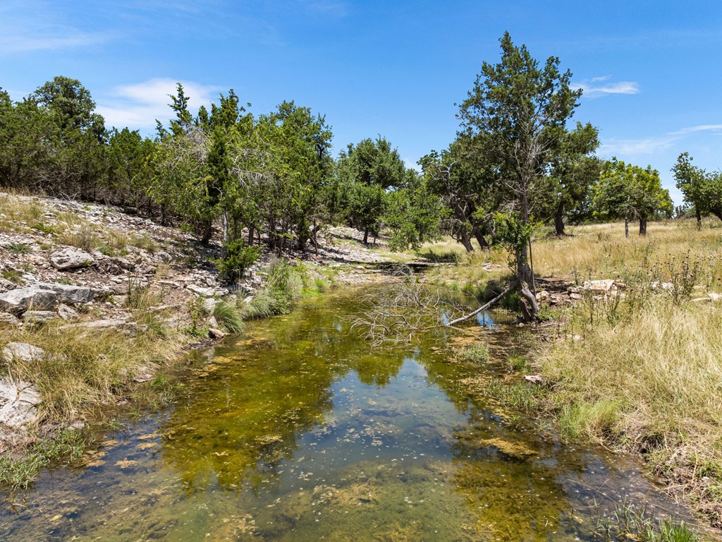 4369 Reeh-Weinheimer Road Fredericksburg, TX 78624 - Photo 15 of 33