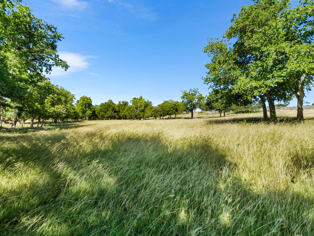 4369 Reeh-Weinheimer Road Fredericksburg, TX 78624 - Photo 9 of 33