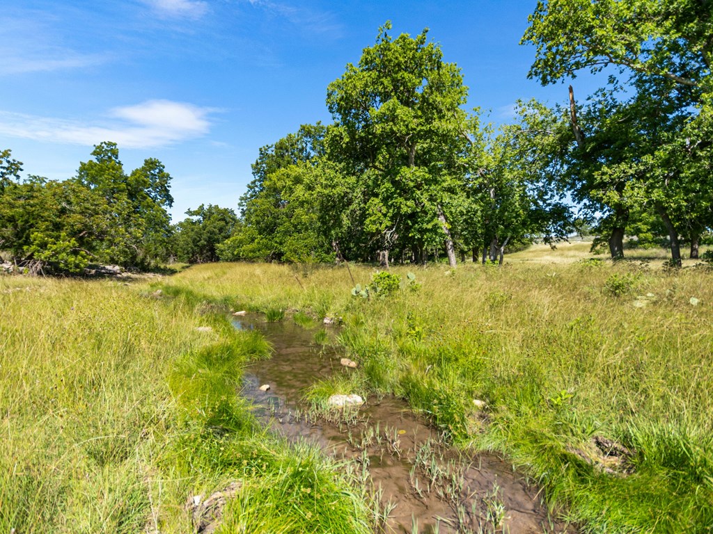 4369 Reeh-Weinheimer Road Fredericksburg, TX 78624 - Photo 10 of 33