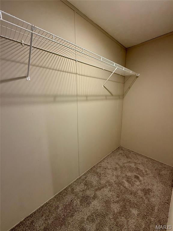 209 East Cedar Street Bellflower, MO 63333 - Photo 24 of 43