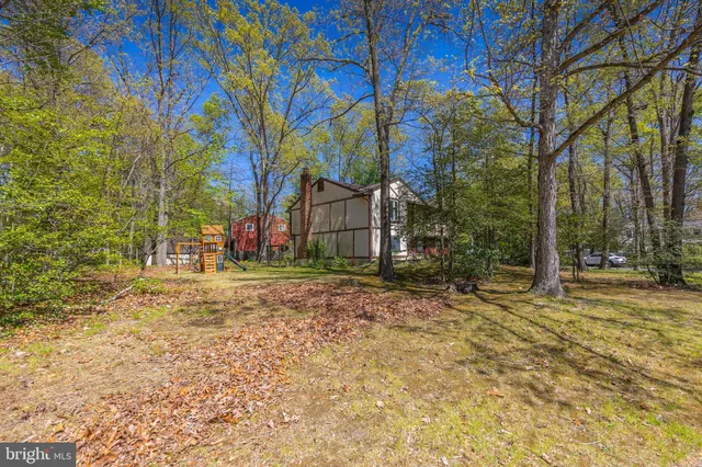 a backyard of a house with large trees