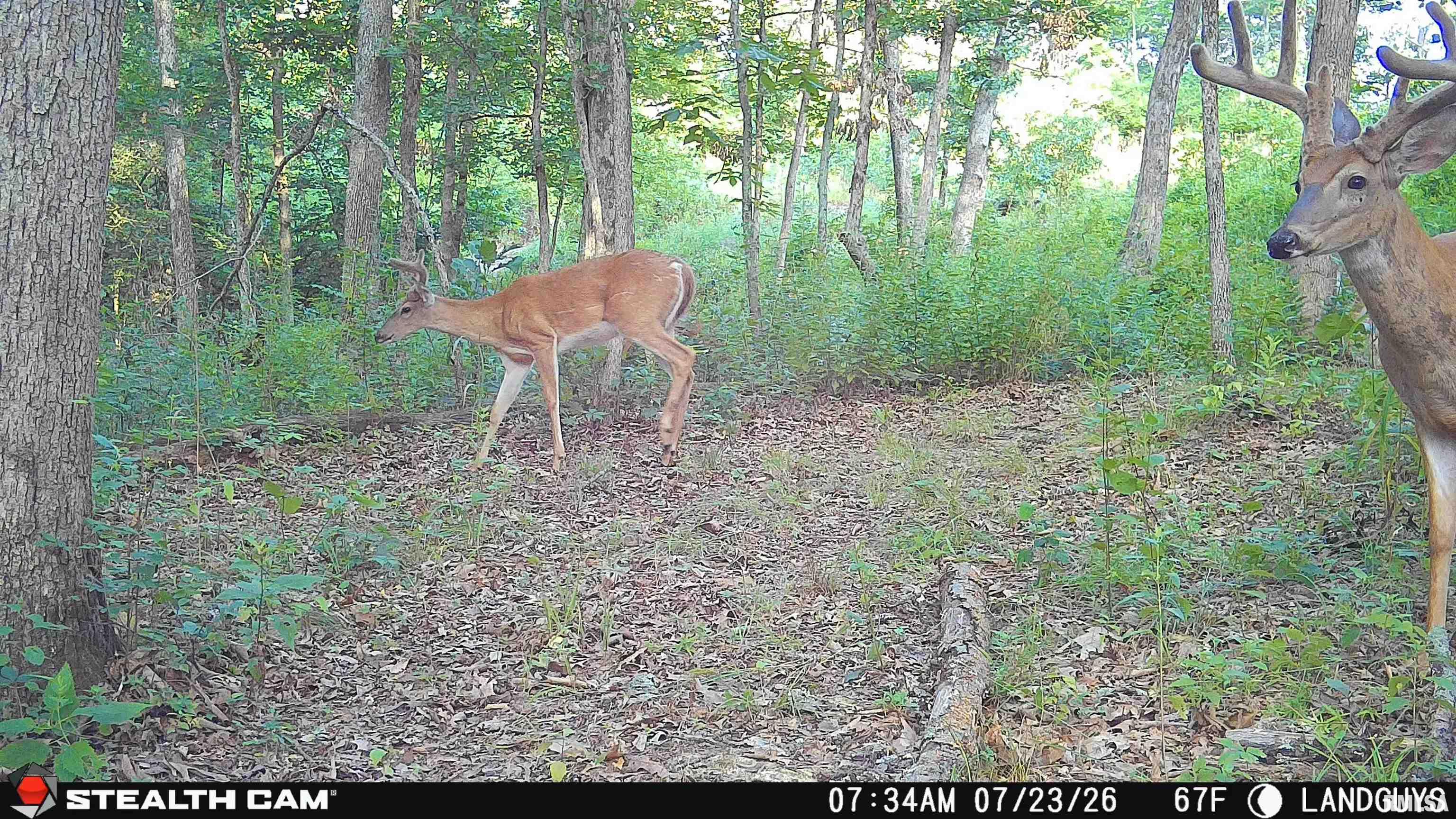3002 Carr Road Red Bud, IL 62278 - Photo 72 of 79 Gallery Image 72