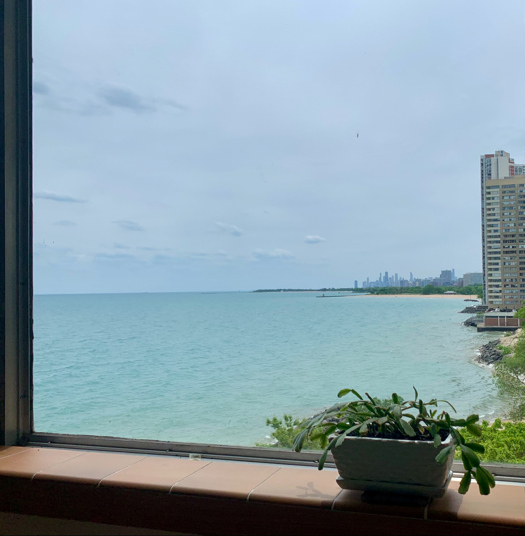 6301 North Sheridan Road, Unit 6K Chicago, IL 60660 - Photo 8 of 21 a view of a lake with a outdoor space